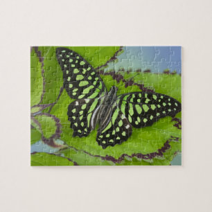 Schmetterling auf Grün Puzzle