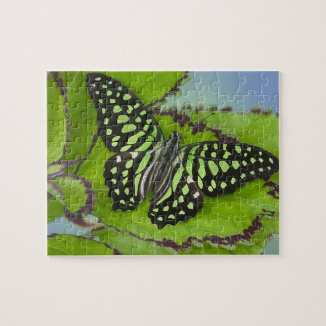Schmetterling auf Grün Puzzle (Horizontal)