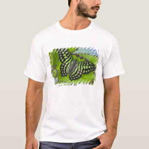 Schmetterling auf Grün T-Shirt