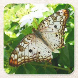 Schmetterling auf Jasmin Tropische Naturfotografie Rechteckiger Pappuntersetzer