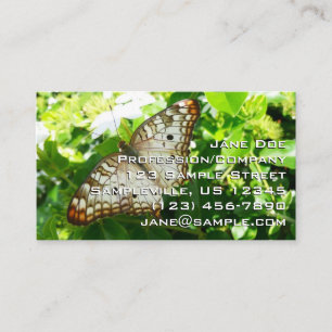 Schmetterling auf Jasmin Tropische Naturfotografie Visitenkarte