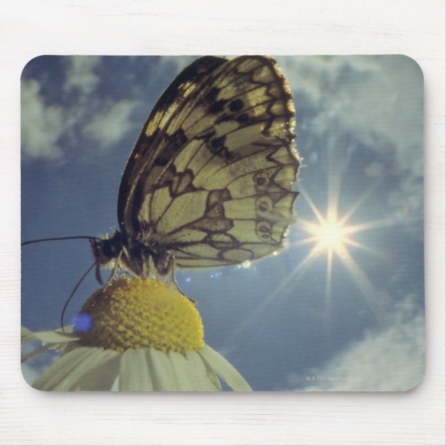 Schmetterling auf Kamille Blume mit Sonne, Mousepad (Vorne)