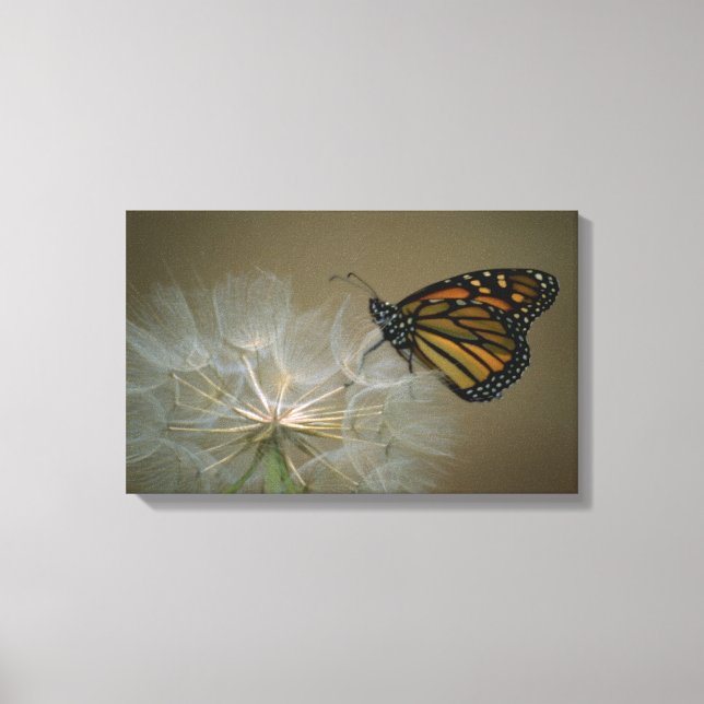 Schmetterling auf Kronleuchter Leinwanddruck (Vorderseite)