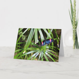 Schmetterling auf Leaf Karte