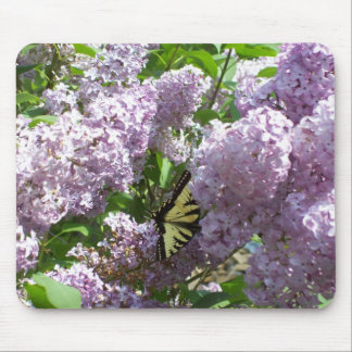 Schmetterling auf lila Mousepad