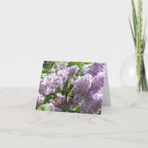 Schmetterling auf lila Notecard Karte