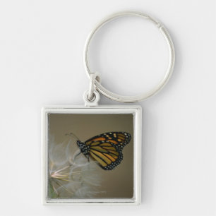 Schmetterling auf Löwenzahn Schlüsselanhänger