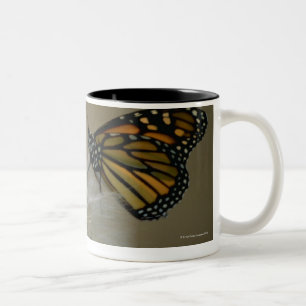 Schmetterling auf Löwenzahn Zweifarbige Tasse
