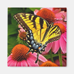 Schmetterling auf Magneten der Blumen-v22 Magnet