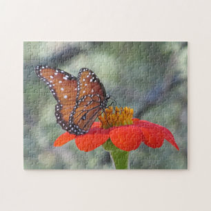 Schmetterling auf mexikanische puzzle