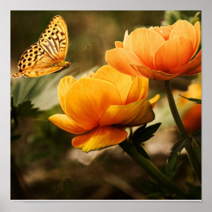 Schmetterling auf orangefarbenen Blumen Poster