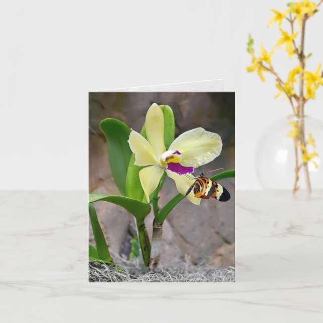 Schmetterling auf Orchid Blossom Notecard Karte (Gelbe Blume)