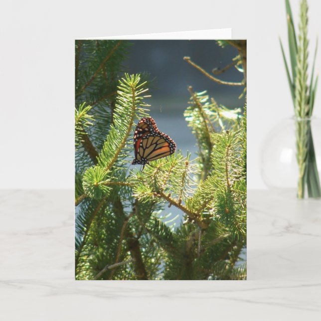 Schmetterling auf Pine Tree Karte (Vorderseite)