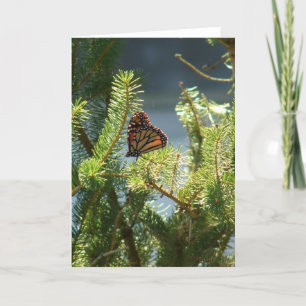 Schmetterling auf Pine Tree Karte