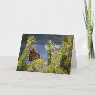 Schmetterling auf Pine Tree Leinwand-like Texture Karte