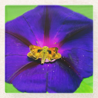 Schmetterling auf Prunkwinde Glasuntersetzer
