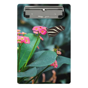 Schmetterling auf rosa Blütenfotografie Mini Klemmbrett