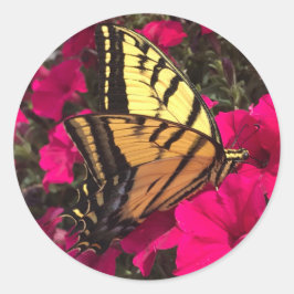 Schmetterling auf rosa Petunienblüten Frühlingszei Runder Aufkleber