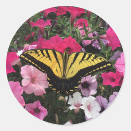 Schmetterling auf rosa Petunienblüten Frühlingszei Runder Aufkleber