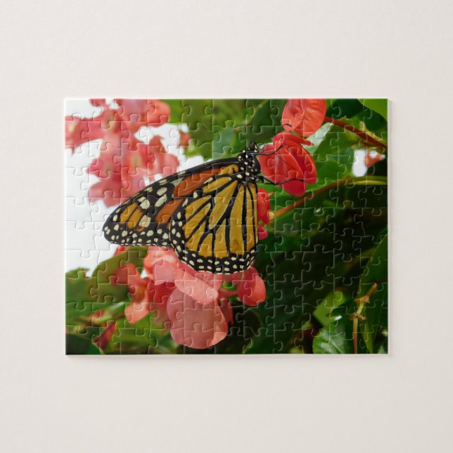 Schmetterling auf Roten Blume Jigsaw Puzzle (Horizontal)
