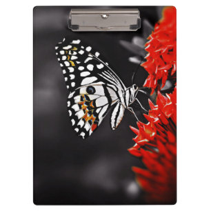 Schmetterling auf roten Blume Klemmbrett