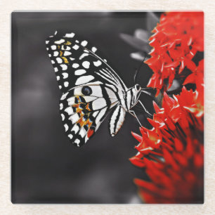 Schmetterling auf roten Blumen Glasuntersetzer
