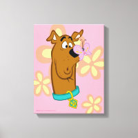 Schmetterling auf Scooby-Doos Nase