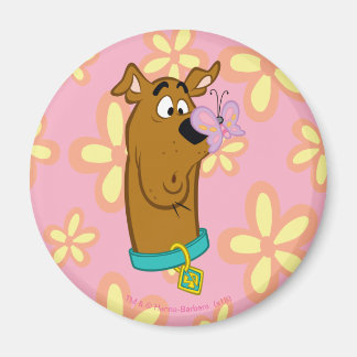 Schmetterling auf Scooby-Doos Nase Magnet