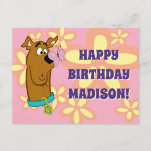 Schmetterling auf Scooby-Doos Nase Postkarte