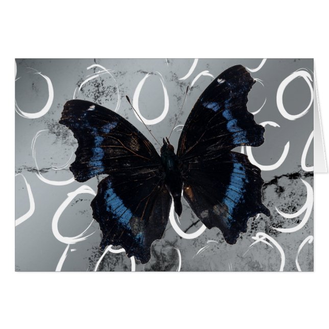 Schmetterling auf silberem Boden mit kreisförmigen (Vorderseite (Horizontal))