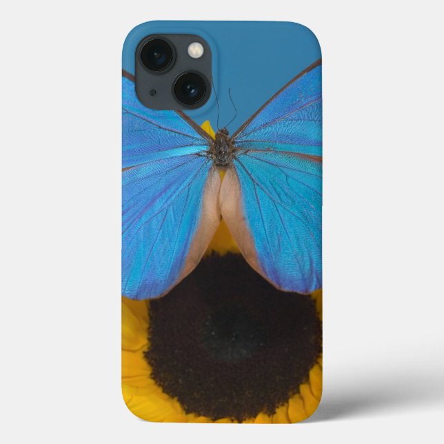 Schmetterling auf Sonnenblume Case-Mate iPhone Hülle (Rückseite)