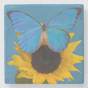 Schmetterling auf Sonnenblume Steinuntersetzer