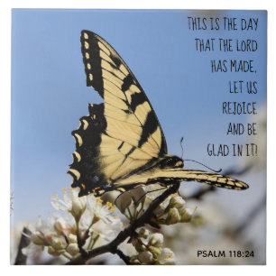 Schmetterling auf weißer Blüte, Vers Psalm 118:2 Fliese