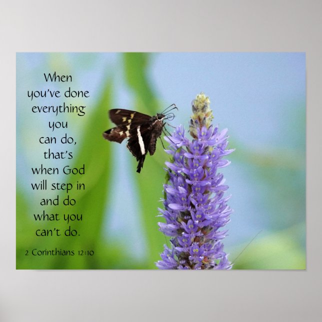 Schmetterling auf Wildblumen, Scripting Verse Poster (Vorne)