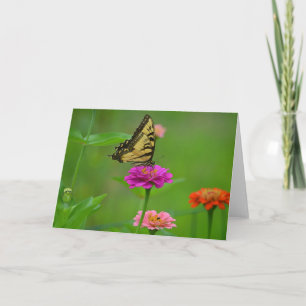 Schmetterling auf Zinnia Notecard Karte