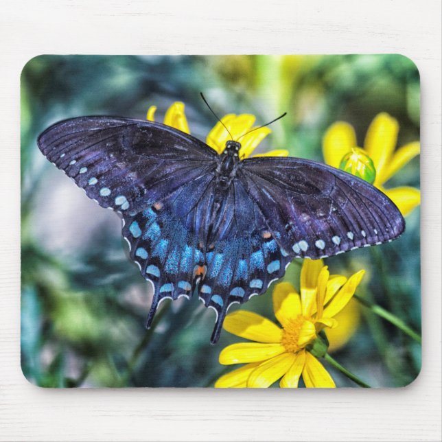 Schmetterling aus schwarzem Frack auf gelben Blume Mousepad (Vorne)