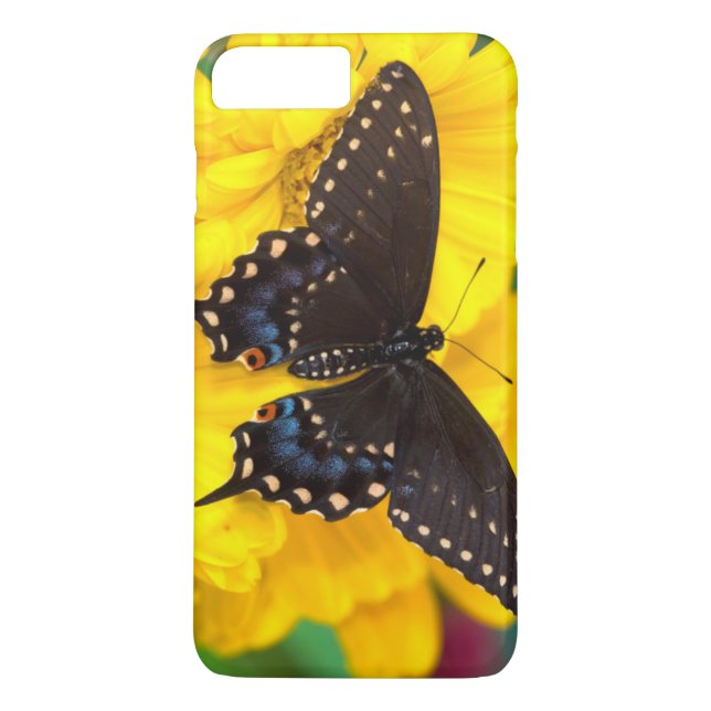 Schmetterling aus schwarzem Frack Case-Mate iPhone Hülle (Rückseite)