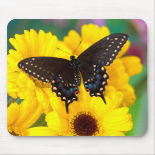 Schmetterling aus schwarzem Frack Mousepad