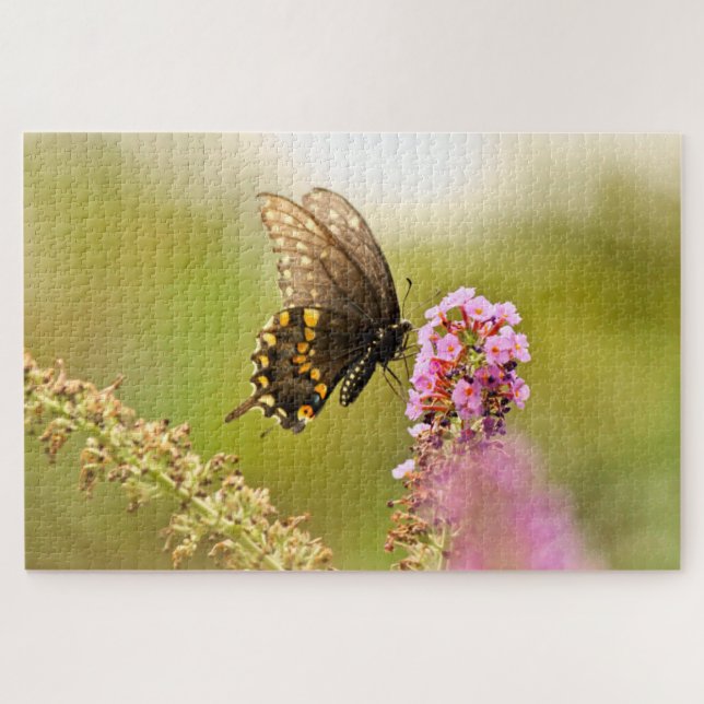 Schmetterling aus schwarzem Frack Puzzle (Horizontal)