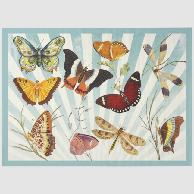 Schmetterling ausgeschnitten und Gewebespapier zus Seidenpapier (Vorderseite)