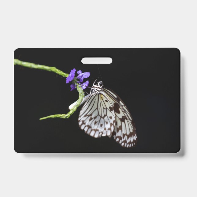 Schmetterling Ausweis (Vorderseite)