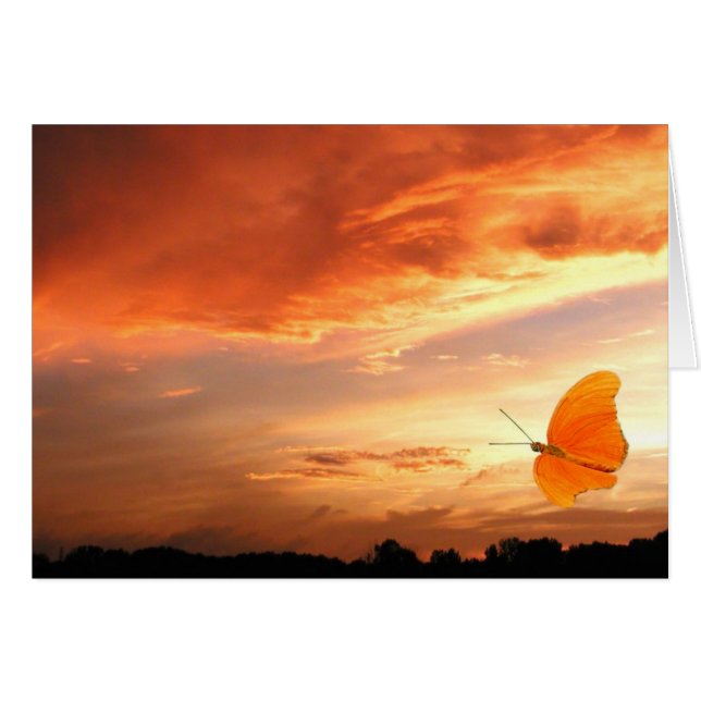 Schmetterling bei Sonnenuntergang (Vorderseite (Horizontal))