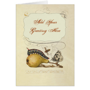 Schmetterling Biene Frucht Insekt Illustration