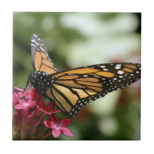 Schmetterling Blume Keramik Fliese