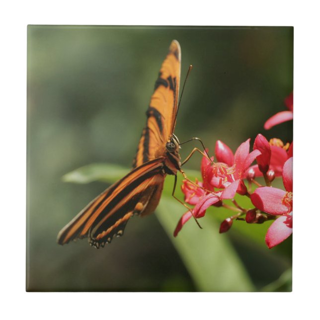 Schmetterling Blume Keramik Fliese (Vorderseite)