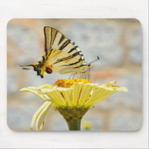 Schmetterling, Blume, Natur Mousepad