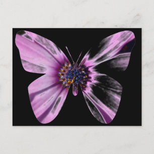 Schmetterling Blume Postkarte