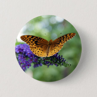 Schmetterling Button