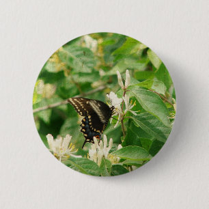 Schmetterling Button