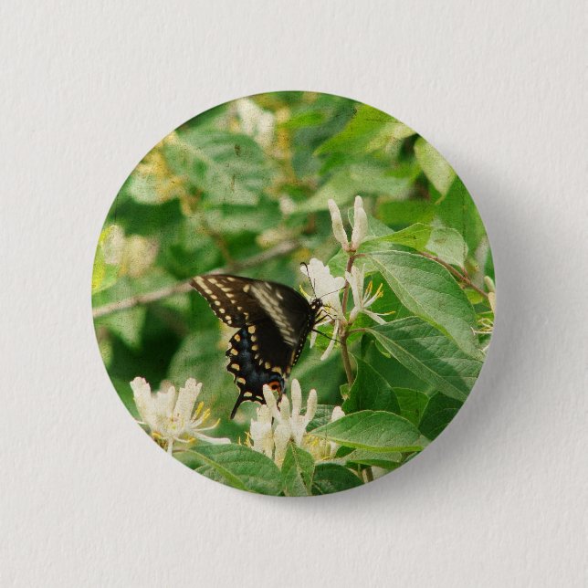 Schmetterling Button (Vorderseite)